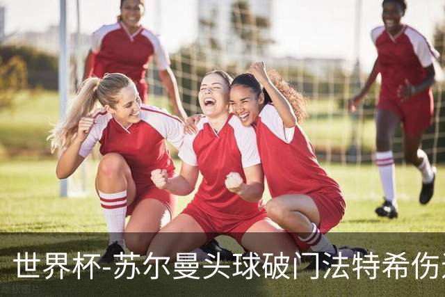 世界杯-苏尔曼头球破门法特希伤退 半场新西兰1-0埃及